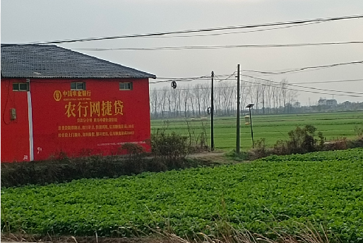 凤凰如何防止墙体广告褪色呢？