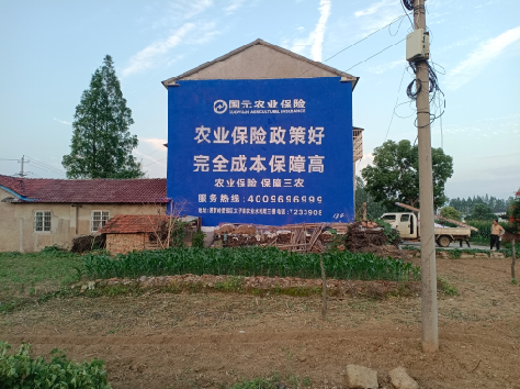 凤凰墙体广告的优劣势你知道吗？