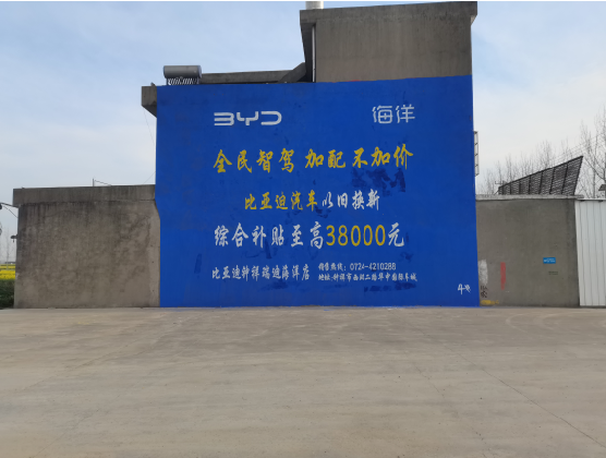 凤凰墙固是否有必要刷？