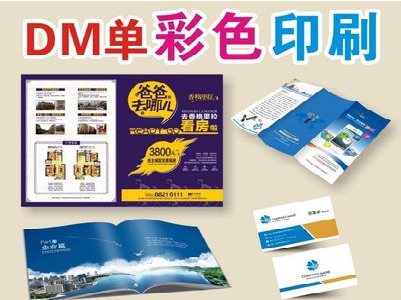 凤凰单页印刷，色彩搭配简单。